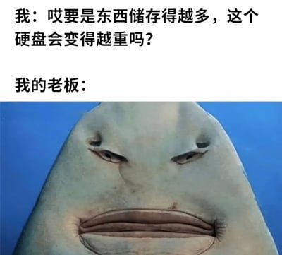 图片上半部分是文字对话，'我'提出疑问：'哎要是东西储存得越多，这个硬盘会变得越重吗？'，下半部分是一张鲨鱼的特写照片，鲨鱼表情看起来略带不屑或无奈，暗指老板听到这个问题时的反应。