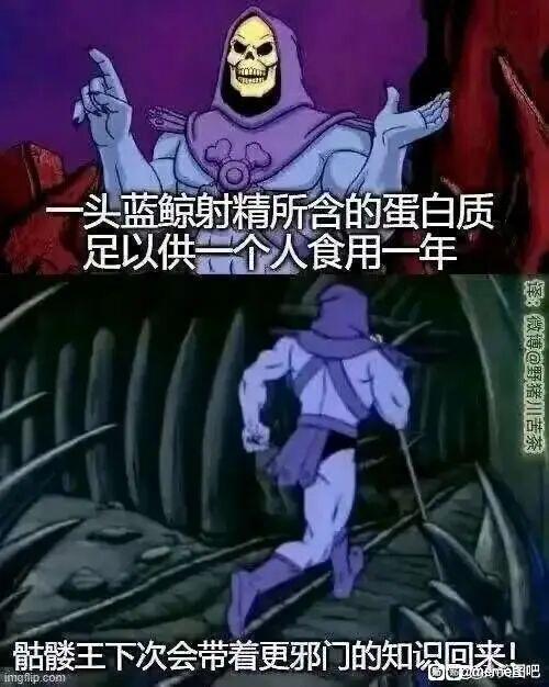 骷髅王