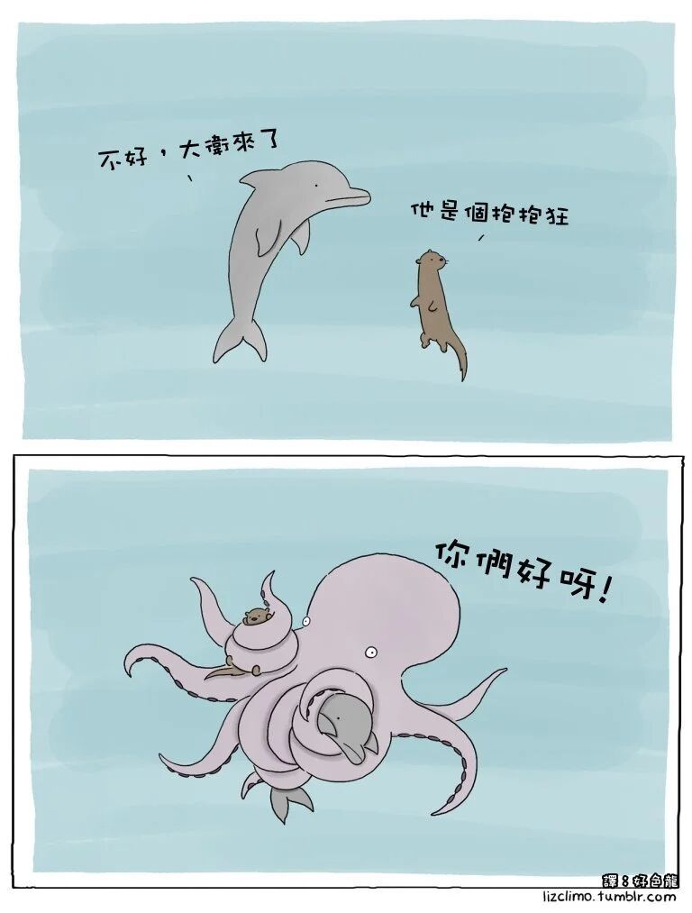 章鱼