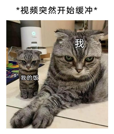 这是一张经过P图改编的搞笑网络梗图，画面中包含一只表情郁闷、趴在地面上的大折耳猫，被标注为“我”，旁边是一只缩小版的同款折耳猫，标注为“我的饭”，图片顶部配有文字“*视频突然开始缓冲*”。该梗图通过将用户本人与期待的内容（以“饭”代指）都塑造成郁闷的形象，夸张地表现了正在观看的视频突然缓冲时，用户内心的烦躁与无奈，引发网友在视频播放不顺畅时的情绪共鸣。