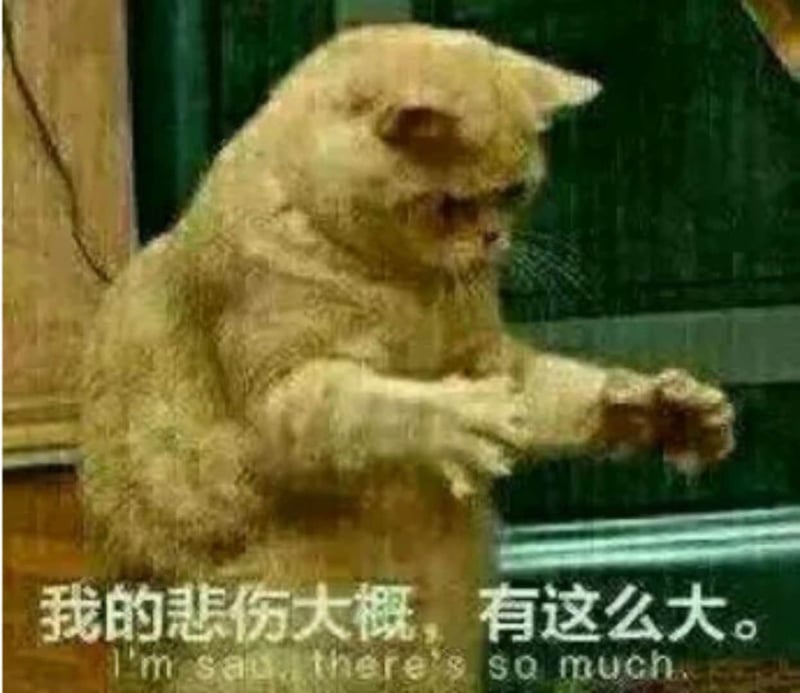 悲伤的猫咪：我的悲伤有这么大