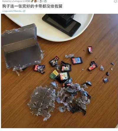 这张实拍图展示了木质桌面上的惨烈场景：原本收纳在透明塑料盒中的多张任天堂Switch游戏卡带，被宠物狗全部咬得支离破碎，卡带本体和塑料盒的碎片散落得到处都是，没有一张卡带能保持完好。图片上方的配文“狗子连一张完好的卡带都没给我留”，直白地传递出主人看到这一幕时的崩溃与无奈——Switch游戏卡带通常价格较高，这样的损坏对玩家而言是不小的经济损失，也充满了对宠物拆家行为的哭笑不得。