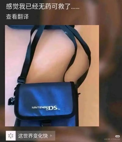 这是一张利用视觉错位打造的搞笑梗图：将任天堂NDS的专用挎包背带以特殊方式佩戴，从视觉上营造出背带从人体腰部穿透的怪异效果，制造出荒诞的视觉冲击。图上方配文“感觉我已经无药可救了……”，下方配文“这世界变化快”，进一步放大了这种离谱搭配带来的搞笑感，传递出一种对这种新奇（离谱）创意的无奈与戏谑情绪。