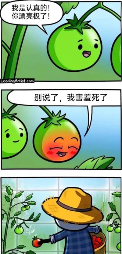 暂无描述