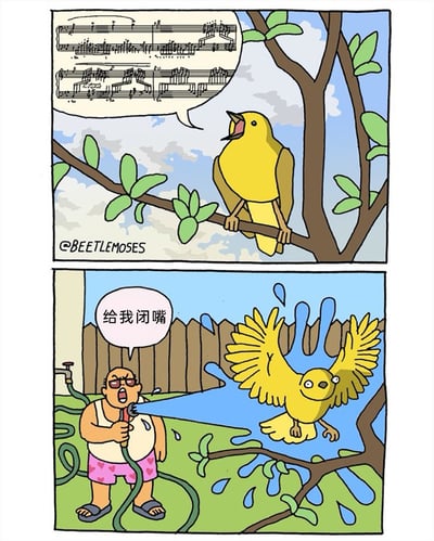 这是一幅两格的原创幽默漫画：第一格中，一只黄色小鸟站在树枝上，它的对话框里是复杂的乐谱，拟人化地表现它正在演唱难度很高的乐曲，画面左下角标注了创作者标识@BEETLEMOSES；第二格场景切换到后院，一个穿着白色背心、粉色带心图案短裤、戴着墨镜的暴躁大叔，手持花园水管对着小鸟喷水，同时大喊“给我闭嘴”，小鸟被水喷得翅膀张开，双眼圆睁露出惊恐的表情，身上和周围溅起大量水花，背景是木质围栏和花园水龙头。漫画通过夸张的反差，将小鸟的“高雅演唱”和人类被吵后的暴躁反应结合，制造出搞笑的效果。