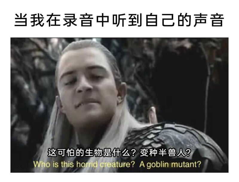 《指环王》系列影视作品