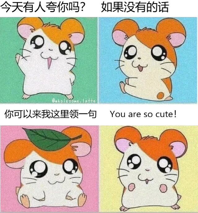 仓鼠