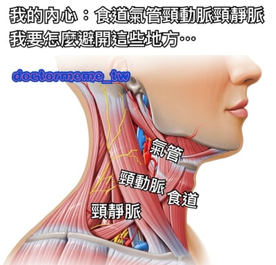 图片主体为人体颈部解剖结构的医学插图，清晰展示了颈部的肌肉、血管和神经分布，并对食道、气管、颈动脉、颈静脉等重要结构进行了中文标注。图片顶部配有文字“我的内心：食道氣管頸動脈頸靜脈 我要怎麼避開這些地方...”，以幽默夸张的方式表达了面对复杂颈部结构时的纠结与谨慎心态。左上角有蓝色水印“doctormeme_tw”。