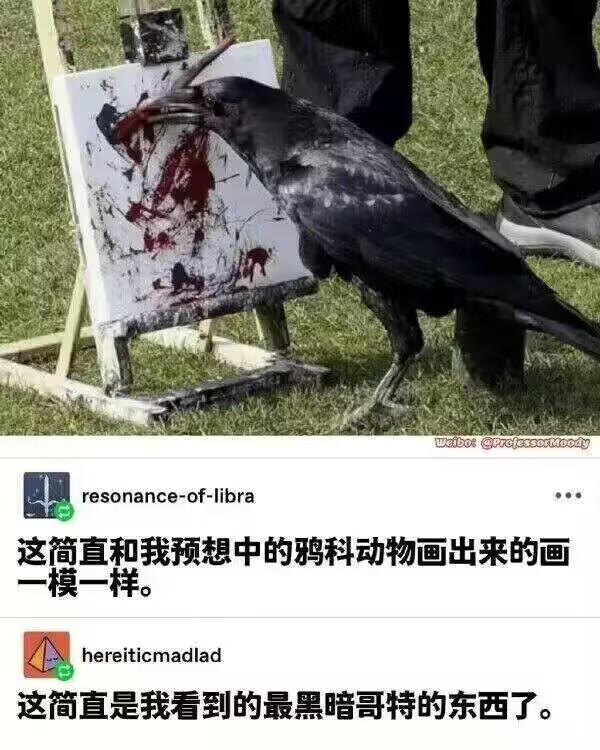 乌鸦