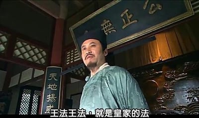 这是国产古装悬疑剧《大宋提刑官》的截图，画面中身着青色官服的官员吴淼水站在公堂内，背景上方悬挂着写有“公正無私”的横匾，左侧竖幅写着“天地揚威”。画面下方的字幕显示他的台词：“王法王法，就是皇家的法”，这句台词直白揭露了封建时代法律沦为皇家工具的本质，充满强烈的讽刺意味，常被网友用来吐槽现实中特权凌驾于规则之上的现象。