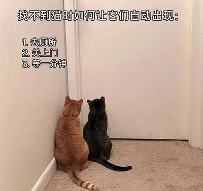 这是一张图文结合的宠物趣味梗图，上方配有文字教程：“找不到猫时如何让它们自动出现：1.去厕所 2.关上门 3.等一分钟”，下方实拍了两只猫咪——一只橘色猫咪和一只黑狸花猫咪，它们背对着镜头，安静地蹲坐在关闭的厕所门外侧，尾巴自然垂在地上，姿态专注地望向门内，生动还原了猫咪“主人独处时就立刻现身黏人”的傲娇习性，用幽默的方式调侃猫咪让人哭笑不得的行为逻辑，引发养猫人群的共鸣。