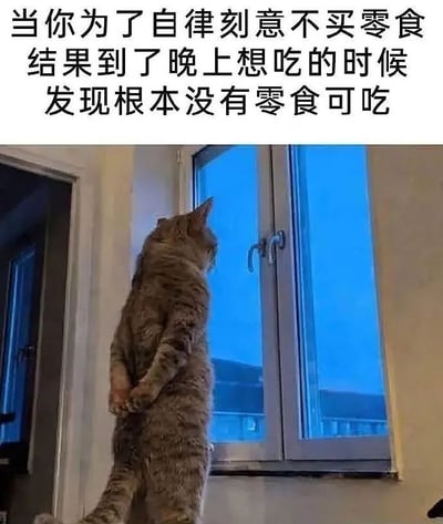 这是一张顶配底文的图文混排梗图，顶部是黑色大号字体的配文，内容为“当你为了自律刻意不买零食 结果到了晚上想吃的时候 发现根本没有零食可吃”，下方主体是一张实拍照片：一只虎斑猫后爪站立，两只前爪背在身后，背对着镜头面向窗户站立，窗外是深夜的深蓝色天色，猫咪拟人化的姿态仿佛正因为没零食吃而惆怅发呆，生动表现出配文描述的为了自律刻意不囤零食，到深夜想吃时一无所有的后悔怅然的情绪，很容易引发有同款经历的网友共鸣。