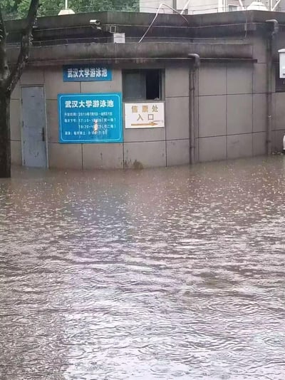 这是一张2019年武汉遭遇强降雨时的实拍照片，拍摄地点为武汉大学游泳池的售票处入口外。画面中，强降雨导致的积水淹没了建筑外的地面，浑浊的积水看起来像一个天然泳池，和旁边墙上的“武汉大学游泳池”标识形成了有趣的双关反差——原本需要进入场馆才能游泳，结果场馆外就成了“免费泳池”。墙面还清晰标注了游泳池的开放时间（2019年7月1日-8月31日，含下午两场时段和晨泳时段）以及售票处入口的指示方向，积水已经漫到建筑的底部区域，直观展现了当时的强降雨内涝情况。