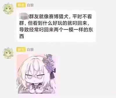 这是一张微信聊天群的截图，群主「白狼」先发送一段文字吐槽群友：「群友就像赛博猎犬，平时不看群，但看到什么好玩的就叼回来，导致经常叼回来两个一模一样的东西」，形象地将群友发内容的行为比作赛博猎犬叼东西，调侃群聊里常见的多人重复发相同内容的「撞车」现象；随后发送了一个Q版动漫少女表情包，角色眼神半睁、表情冷漠，双手抱胸，完美传递出对这种重复行为的无奈与嫌弃情绪，让调侃更生动。