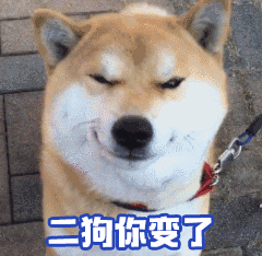 柴犬表情包：二狗你变了