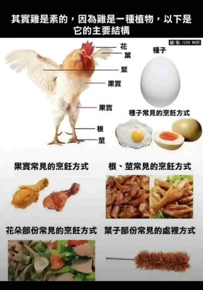 这是一张无厘头恶搞的伪科普梗图，创作者将公鸡的身体部位强行对应植物的结构，制造荒诞笑点：把公鸡的鸡冠标注为「花」，翅膀和颈部标注为「叶」，鸡身和鸡腿标注为「果实」，鸡爪分别标注为「根」和「茎」，鸡蛋则被定义为「种子」。同时还为每个「植物部位」配上了对应的常见烹饪/处理方式：「种子（鸡蛋）」对应煎蛋、卤蛋；「果实（鸡腿）」对应炸鸡腿、烤鸡腿；「根/茎（鸡爪）」对应卤鸡爪、酱鸡爪；「花朵（鸡冠）」对应凉拌鸡冠；「叶子（鸡毛）」对应做成鸡毛掸子。全程以一本正经的科普排版，讲述完全不符合科学的荒诞内容，用反差感制造搞笑效果，没有实际科学依据，纯为娱乐玩梗。