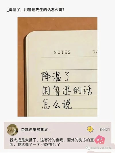 这是一张社交媒体类搞笑梗图，上方提出问题「降温了，用鲁迅先生的话怎么讲？」，中间是笔记本页面手写的相同问题，下方是网友「杂乱无章记事本」的神回复：「我大抵是大抵了，这寒冷的夜晚，窗外的狗冻的直叫，我犹豫了一下 也跟着叫了」。回复模仿鲁迅标志性的文风句式，搭配无厘头的行为，夸张地吐槽降温后的寒冷，充满搞笑趣味。