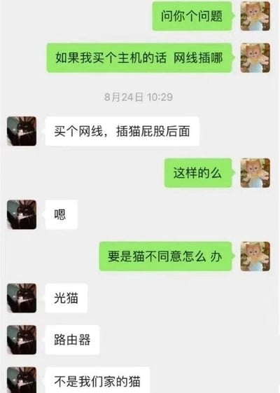 这是一张社交聊天软件的截图，记录了一段充满趣味误会的对话。对话中，提问者先询问对方“问你个问题”，接着提出“如果我买个主机的话 网线插哪”的疑问，回答者回复“买个网线，插猫屁股后面”，提问者疑惑地问“这样的么”，得到肯定答复后又脑洞大开地问“要是猫不同意怎么办”，这时回答者才依次解释是“光猫”“路由器”，并补充“不是我们家的猫”。整个对话利用“猫”的双关含义（宠物猫和网络设备光猫）制造出荒诞又搞笑的效果，展现了日常交流中因语义歧义产生的趣味误会。