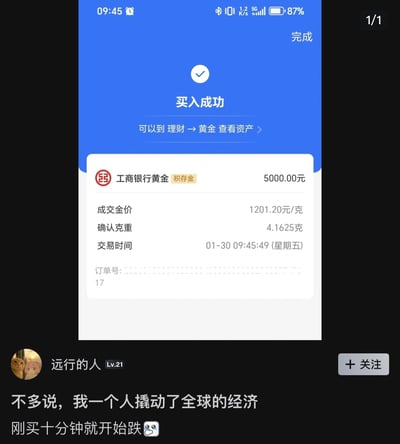 图片展示了工商银行黄金积存金买入成功的手机界面截图，蓝色顶部显示“买入成功”及白色对勾图标，下方白色区域详细列出交易信息：金额5000.00元、成交金价1201.20元/克、确认克重4.1625克、交易时间01月30日09:45:49（星期五），订单号部分隐藏。截图下方配有用户“远行的人 Lv.21”的评论：“不多说，我一个人撬动了全球的经济 刚买十分钟就开始跌”，并附带哭泣表情。通过夸张的“撬动全球经济”与实际买入后金价迅速下跌的反差，形成自嘲式幽默，吐槽投资后立即亏损的无奈经历。