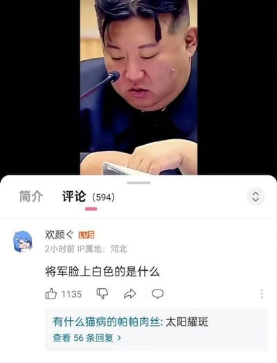 这是一张竖屏社交媒体截图，上方是一位低头的人物画面，其脸颊处有一个白色斑点；下方是该内容的评论区，用户“欢颜ぐ”（IP属地河北）提问“将军脸上白色的是什么”，这条评论获得了1135个点赞；另一位用户“有什么猫病的帕帕肉丝”回复“太阳耀斑”，用天文术语调侃这个白色斑点，该回复下有56条后续回复，整体是网络社区中用户自发玩梗的搞笑场景，无政治性内容，属于单纯的调侃互动。