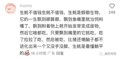 这是一条关于“生蚝不值钱”的网络爆笑评论点评，生动描述了生蚝漂泊一生、无手无脚、什么都吃、搞卫生、甚至懒过猪，从生物进化层面全方面自黑生蚝，语言幽默夸张、内容充满自嘲与调侃。文末还用“没有手没有脚，最懂躺平的”来借生蚝暗指当下流行的‘躺平’心态，是典型的年轻人网络梗。表情符号加强了搞笑感与无奈感。这种对普通生物/美食的冷幽默，是社交网络上热传的“沙雕评论”风格。

暗示/双关：结尾‘躺平’为借用当代年轻人流行词，表意双关（社会现象+动物习性自嘲）。
