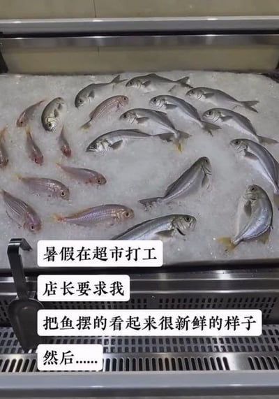这张图拍摄的是超市生鲜区的冰台，冰面上摆放的冰鲜鱼都被调整成头部抬起的姿态，看起来仿佛还活着、十分鲜活。下方搭配的文字讲述了梗的内容：发布者暑假在超市打工，店长要求他把鱼摆得看起来很新鲜，于是他就将鱼摆成了现在的样子，用拟人化的摆鱼方式玩梗，充满幽默感，也调侃了打工人应付工作要求的小聪明。