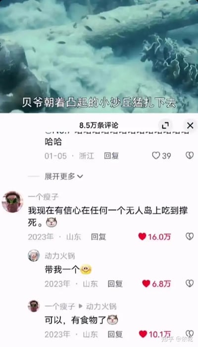 这是一张将贝尔·格里尔斯（贝爷）荒野求生纪录片场景与网友评论区经典玩梗拼贴在一起的图片。画面上半部分为纪录片水下镜头和字幕：“贝爷朝着凸起的小沙丘猛扎下去”，下半部分是一组评论区互动：一位网友表示有信心在无人岛吃到撑死，另一位网友回复“带我一个”，楼主又机智回复“有食物了”。整体风格轻松幽默，展现出吃货自黑和网友斗图文化。

同时结合了黑色幽默和冷幽默，评论区含有“带我一个/有食物了”二次梗，形成略带讽刺的网上社交生态讽刺。