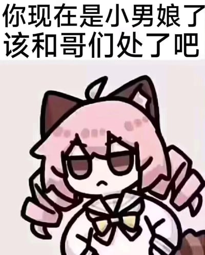 这是一张网友二次创作的梗图，使用了《间谍过家家》中阿尼亚的Q版猫耳形象，给她加上了墨镜，让她呈现出无奈郁闷的神态。图上方配文“你现在是小男娘了 该和哥们处了吧”，用可爱的卡通形象和玩梗文字结合，制造出反差搞笑的效果，用来玩“小男娘”的性别相关梗，没有双关或谐音梗内容。