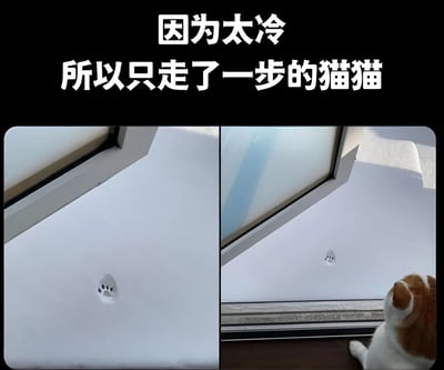 这是一张左右对比图，展示了一只因为天气寒冷而只在雪地上踩了一个脚印就停住的猫咪。左图是雪地上一个孤零零的猫爪印，右图是一只橘白相间的猫咪站在门口，正看着那个脚印，似乎因为寒冷而不愿再往前走。图片上方配有文字'因为太冷 所以只走了一步的猫猫'，幽默地表现了猫咪怕冷的可爱形象。