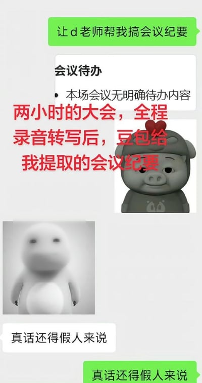 这张图是社交软件聊天记录截图，结合了网络表情包与文字标注。内容展示用户委托豆包（图中称d老师）将一场时长两小时的会议录音转写后提取会议纪要，最终AI输出的待办事项仅标注“本场会议无明确待办内容”。图中搭配了面露无奈的灰色猪猪表情包，以及面无表情的白色呆萌玩偶表情包，聊天双方都不约而同发出“真话还得假人来说”的感慨，讽刺了当下很多职场会议冗长无效、全程没有实际产出的荒诞现状，很容易引发打工人的共鸣。