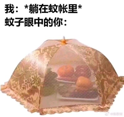 这是一张吐槽夏天蚊子的搞笑梗图，图上方配有文字：“我：*躺在蚊帐里* 蚊子眼中的你：”，下方则是一个盖着水果的餐桌食物罩。用食物罩类比蚊帐，在蚊子的视角里，蚊帐里的人类就像食物罩下的美味食物，充满了吸引力，生动又好笑地表现出蚊子对人的“执着”，精准戳中夏天被蚊子骚扰的人的无奈心情。