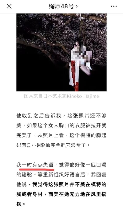 社交媒体截图，内容为一张夜景樱花树下悬吊人物的摄影作品，以及一段关于该作品艺术价值的评论。评论中提到有人认为照片应该更突出模特的身材，而作者则认为照片的美在于人物在风中摇摆的姿态。
