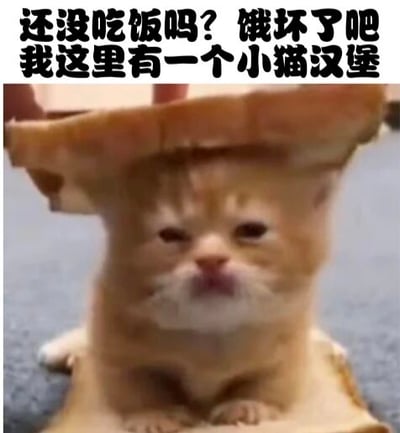 图片中一只橘色小猫被两片面包夹在中间，形成“汉堡”的造型。上方配有文字“还没吃饭吗？饿坏了吧 我这里有一个小猫汉堡”，通过将猫咪与面包创意组合，营造出幽默可爱的视觉效果，属于轻松搞笑的宠物梗图。