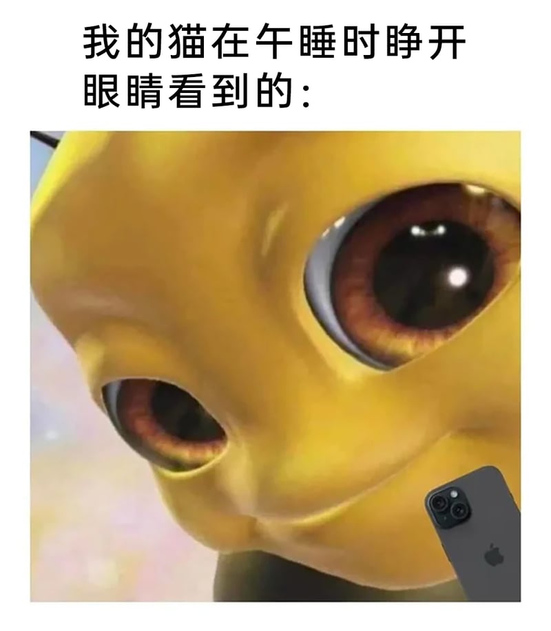 《蜜蜂电影》