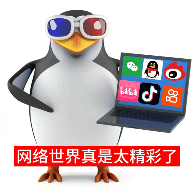 高雅人士带你看精彩网络世界