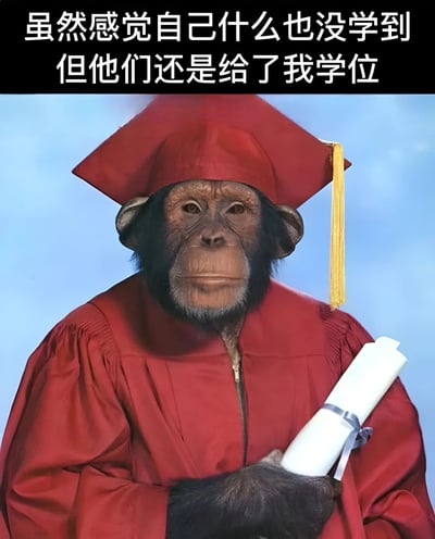 图片主体是一只黑猩猩，它头戴红色学士帽，身着红色毕业礼服，右手拿着一卷白色文凭。图片上方有一行黑色背景白色文字：“虽然感觉自己什么也没学到 但他们还是给了我学位”。整体通过黑猩猩拟人化毕业的形象，以幽默自嘲的方式调侃了部分人觉得自己学业收获不大却顺利毕业的现象。