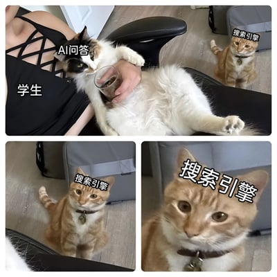 图片由三张照片拼接而成，上方主图中一名穿着黑色吊带裙的学生坐在椅子上，腿上躺着一只黑白花色的猫，猫爪搭在学生手中的玻璃杯上，猫头部标注“AI问答”；背景中一只橘色虎斑猫站立注视，标注“搜索引擎”。下方两张图分别为“搜索引擎”猫的中景和特写镜头，突出其表情。整体通过猫咪拟人化幽默展现学生使用AI问答与搜索引擎的场景对比。