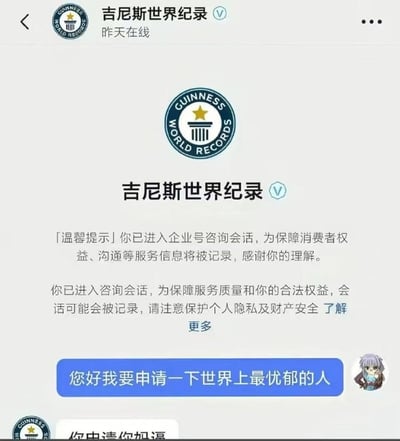 这是一张社交媒体聊天界面截图，界面顶部显示聊天对象为经过认证的吉尼斯世界纪录官方账号，附有官方品牌logo。界面首先展示了系统发送的会话提示，告知用户进入企业号咨询会话后沟通内容会被记录，需要注意保护个人隐私和财产安全。用户发送的蓝色气泡消息内容为“您好我要申请一下世界上最忧郁的人”，界面底部露出了吉尼斯官方账号的回复开头，内容为粗俗的调侃用语，整体是网友创作的无厘头搞笑玩梗内容，用反差感制造笑点。