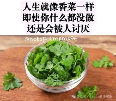 这是一张图文混排的梗图，上方配有黑色扎心文案：“人生就像香菜一样 即使你什么都没做 还是会被人讨厌”，下方是实拍的一碗新鲜香菜，放置在木质案板上，还有几片香菜散落在案板边缘。图中用香菜天生就被部分人群厌恶的特性，类比生活中有些人会毫无缘由地被他人讨厌的无奈处境，没有双关、谐音梗等内容。