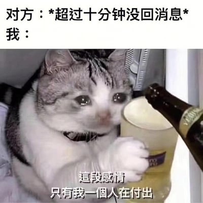 图片上方是文字：“对方：*超过十分钟没回消息*  我：”，下方是一只著名“哭泣猫”表情包，猫咪泪眼汪汪，表情悲伤地举着一杯啤酒，正准备饮酒，仿佛在借酒浇愁。图片中间还带有一段繁体中文文本，意思是“这段感情只有我一个人在付出”，呈现出被动冷落时的自嘲式悲伤。整体氛围是搞笑夹杂着自怜，“哭泣猫”表情本身就是网络上广泛流传的表情模板。不存在明显双关与谐音梗，但内容有一定“丧”与自嘲成分，非常适合用来表达社交冷落时的无力与自我消解。