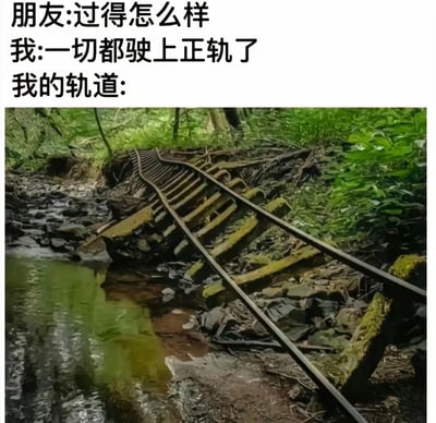 这是一张幽默梗图，上方文字显示朋友和"我"的对话，朋友问"过得怎么样"，"我"回答"一切都驶上正轨了"，下方配图却是一张布满杂草、严重损坏、蜿蜒曲折的废弃铁轨照片，形成强烈反差。通过文字与图片的幽默对比，表达了表面上说一切顺利，实际上生活却一团糟的自嘲情绪。