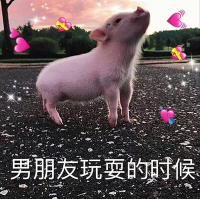 图片中是一只可爱的粉色小猪站在沥青路面上，抬头向上仰望，表情看起来十分好奇和专注。背景是美丽的日落景象，天空呈现出粉紫色渐变，周围有树木和草地。图片上添加了多个粉色爱心图案和闪亮的星星特效作为装饰。底部有一行文字："男朋友玩耍的时候"，暗示这只小猪的可爱模样像是男朋友玩耍时的专注神情，带有幽默和宠溺的意味。