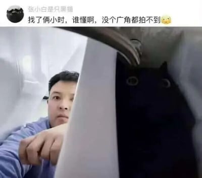 这是一张社交媒体发布的截图，发布者“张小白是只黑猫”配文分享了自己的趣事：找自家黑猫找了两个小时，最后发现黑猫躲在一个狭窄的隔板缝隙空间里，和自己共处同一个狭小区域。由于黑猫毛色漆黑，加上空间十分窄小，需要广角镜头才能同时将自己和黑猫拍入画面。画面里发布者露出上半身，表情带着无奈又哭笑不得的感觉，黑猫在隔板另一侧睁着圆溜溜的大眼睛，神态平静，整个场景充满了搞笑又无奈的氛围，精准体现了黑猫因毛色深容易藏匿的特点，很容易引发养宠用户的共鸣。