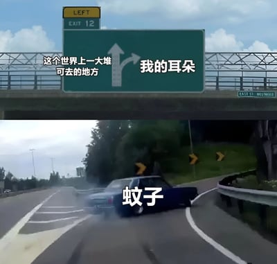 图片分为上下两部分。上半部分是高速公路上方的绿色指示牌，左侧箭头标有“这个世界上一大堆可去的地方”，右侧箭头标有“我的耳朵”，模拟道路选择场景。下半部分是一辆蓝色汽车在高速公路上打滑失控，车身上标有“蚊子”二字，通过比喻手法幽默展现蚊子明明有众多可停留之处，却执着叮咬人类耳朵的日常现象，引发共鸣。