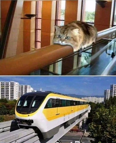 这是一张上下拼接的对比梗图，上图是一只棕黄相间的猫咪，生无可恋地瘫趴在棕色栏杆上，脸部下垂的神态、身体的配色与形态，和下图的黄黑配色单轨列车高度相似；列车的车头造型、黄白黑的色彩搭配，和猫咪的姿态毛色形成了有趣的视觉呼应，制造出猫咪“变身”列车的搞笑效果，依靠视觉巧合带来趣味，无谐音或暗示类内容。