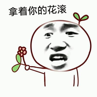 一张表情包，展示了一个圆形头部的卡通人物，头上长着小植物，手里拿着一朵花，表情愤怒，上方配有文字'拿着你的花滚'，表达拒绝或赶走某人的意思。
