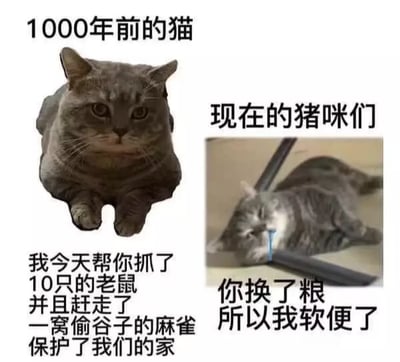 这张梗图通过对比1000年前的猫和现代家猫（称为“猪咪”）的画面，幽默地反映了猫咪从劳动捕鼠能干到现代家养肥懒形象的变化。左侧的猫严肃坐姿，并配以“英勇事迹”说明猫早年是家庭守护者；右侧则是一个瘫软流口水的猫，搭配“软便”暗示宠物猫吃得好动得少，依赖性强，用来自嘲和调侃。整体风格轻松幽默，是宠物圈常见的自黑表情包。

【暗示/双关说明】
“猪咪”为肥猫的昵称，带有搞笑和自嘲意味；“软便”暗示现代猫饮食过于精致。