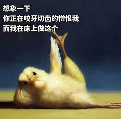图片上方有三行白色文字："想象一下 你正在咬牙切齿的憎恨我 而我在床上做这个"。图片主体是一只黄色的小鸡，它四脚朝天躺在地上，翅膀和腿向上伸展，表情呆萌可爱。通过将对方的"咬牙切齿的憎恨"与自己"在床上做这个（指小鸡的可爱姿势）"形成鲜明对比，制造出一种轻松幽默的反差效果。