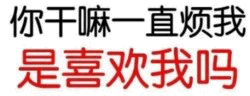 你干嘛一直烦我 是喜欢我吗