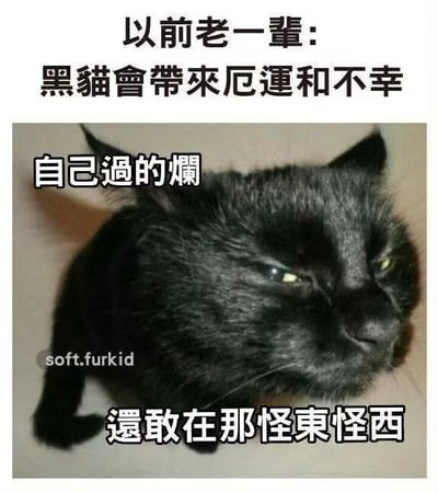 图片上方文字写着'以前老一辈：黑猫會帶來厄運和不幸'，中间是一只表情略显不耐烦的黑猫照片，下方文字为'自己過的爛 還敢在那怪東怪西'。整体通过对比老一辈对黑猫的迷信说法与黑猫的'内心吐槽'，讽刺了将自身不幸归咎于外界事物的行为，语言幽默直白，带有调侃意味。